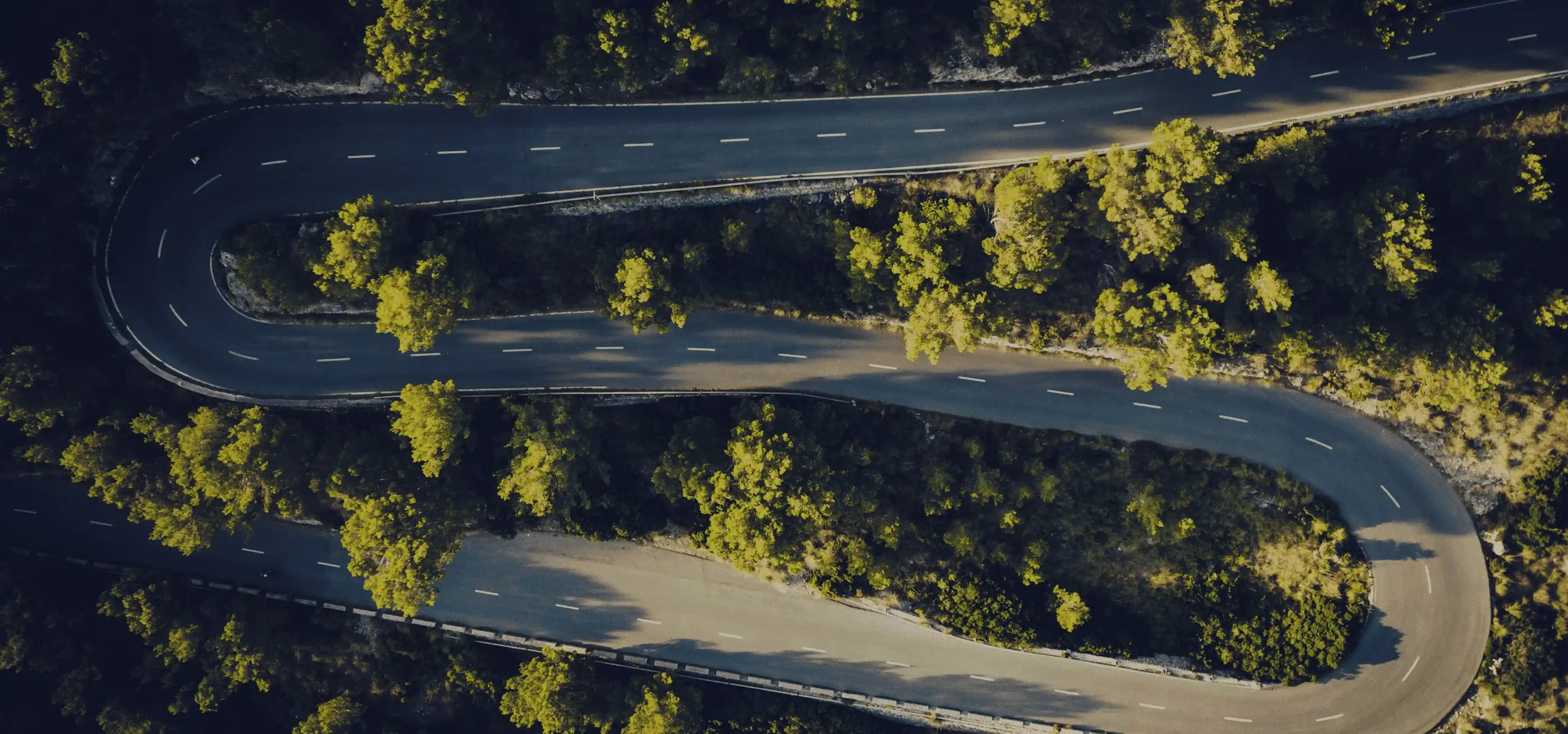 Описание изображения